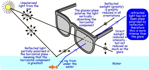 What are polarized sunglasses?