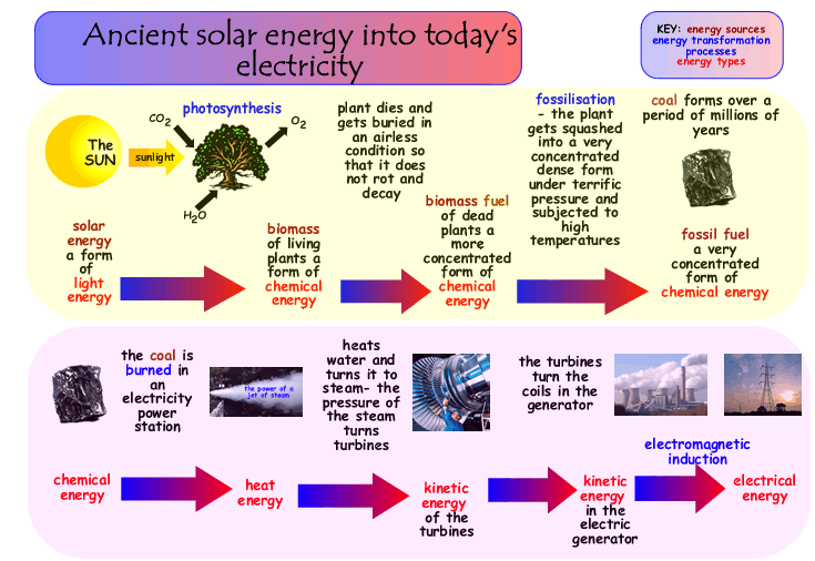 fossil fuels formation