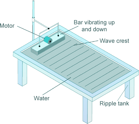 ripple tank waves