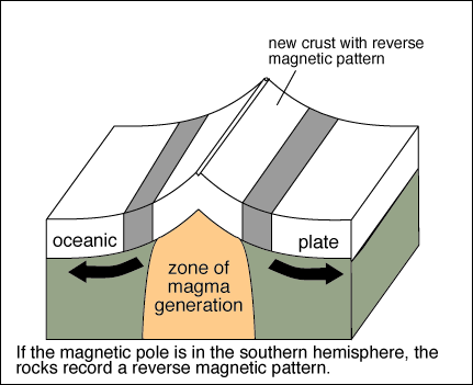 magnetic reversal mid ocean ridges