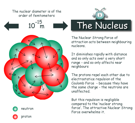 the nucleus of an atom contains